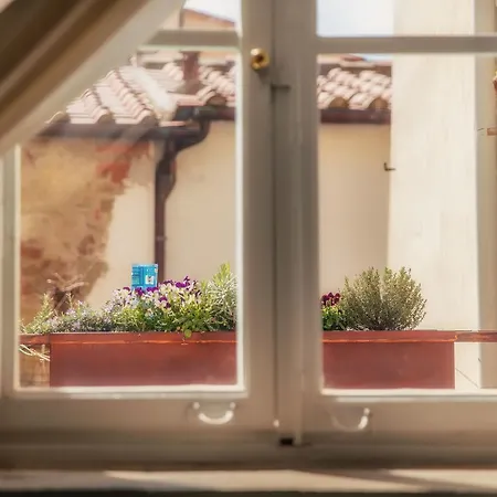 Ghibellino B&B-2